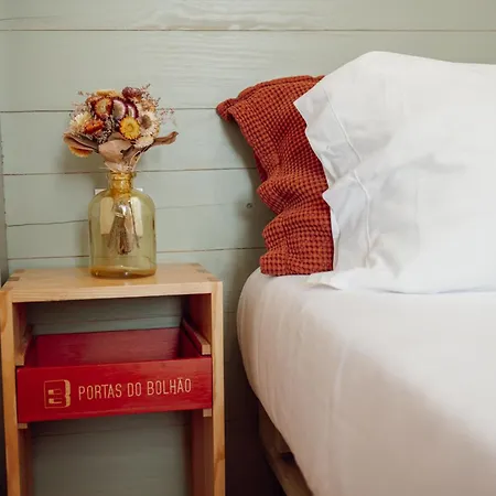 Downtown Bolhao By Hosty