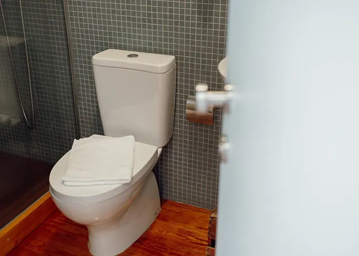 Downtown Bolhao By Hosty